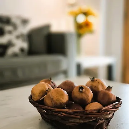 El Loft Del Casco By Alogest